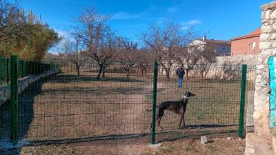 El área habilitada en la zona del Puig. foto: dt