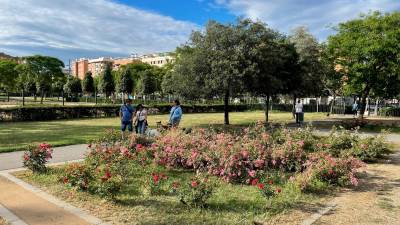 Segons l’Ajuntament, el nou parc ubicat sobre el terreny de l’actual estació inclourà la regeneració dels sòls i la plantació de 130 arbres. Foto: Alba Mariné