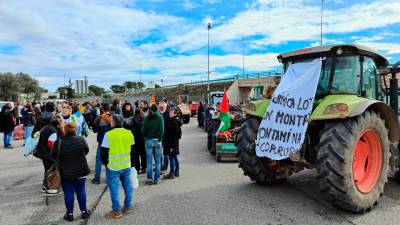 Imagen de algunos de los tractores que han acudido a la concentración en Cambrils. Foto: Iván Alcalá