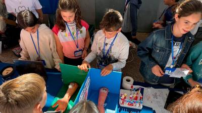 Els alumnes amb dos ‘braços’ per fer entendre el recorregut de la sang. Foto: Escola Pax