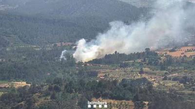 El incendio de cañas y vegetación en Marçà. Foto: Bombers