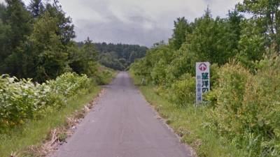 Le dejaron solo en una carretera a los pies del monte Komagatake, en la isla japonesa de Hokkaido (norte). Foto: Google Street View (zona boscosa de la misma isla cercana a los hechos)