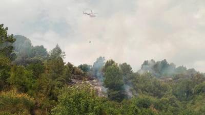 Incendio, en verano de 2021, en el término de La Selva del Camp. Foto: Àngel Juanpere
