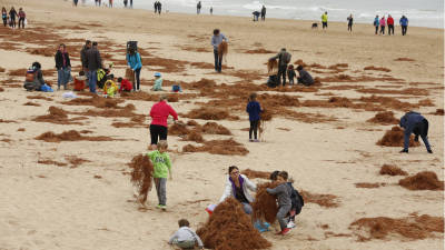 Los niños de la Escola L’Arrabassada participaron en la limpieza de la playa. FOTO: PERE FERRÉ