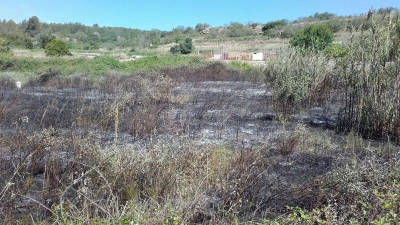 Zona afectada por el incendio de El Catllar.
