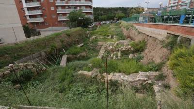 Las malas hierbas sepultan los restos, algunos de los cuales aún se aprecian entre la vegetación. Foto: Lluís Milián