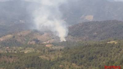 Imagen de la columna de humo del fuego forestal de Cornudella. FOTO: Bombers
