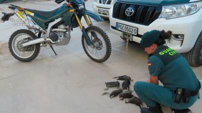 Una agente de la Guardia Civil, con los animales. Foto: Guardia Civil