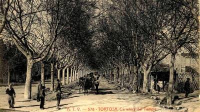 L’avinguda, amb arbres als costats, a principis del segle XX. El parc municipal, a l’esquerra. Foto: Àngel Toldrà/ Arxiu Comarcal del Baix Ebre