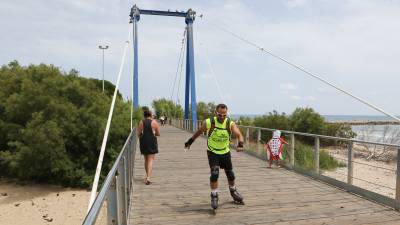 Los humedales pr&oacute;ximos a la Riera de Riudoms conservan un ecosistema muy rico. Foto: Alba Marin&eacute;. 