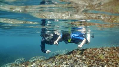 Snorkel. FOTO: Pl&agrave;ncton Diving