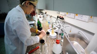 Laboratorio enológico en las instalaciones de esta cooperativa en Sant Jaume dels Domenys. Foto: Pere Ferré