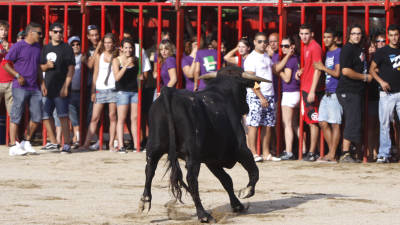 Espectáculo con vaquillas celebrado en Miami Plata en las fiestas de Sant Jaume. foto: pere ferré/DT