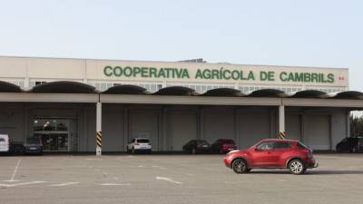 Imatge de les instal·lacions de la Cooperativa de Cambrils ubicades a la carretera de Montbrió. FOTO: ALBA MARINÉ