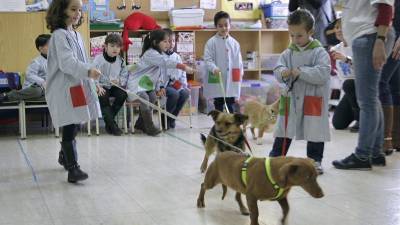 Els nens van poder conèixer ben de prop tres gossos de la protectora d'animals. Foto: Pere Ferré