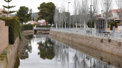 Tras la lluvia de los últimos días, el canal vuelve a estar lleno e incluso pueden verse patos. foto: pere ferré