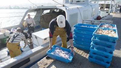 Pescadors descarregant peix, ahir, després de la jornada de feina. Foto: Joan Revillas