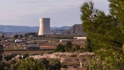 Central nuclear de Ascó, donde hay una parada no programada de los dos reactores. Foto: Joan Revillas/DT