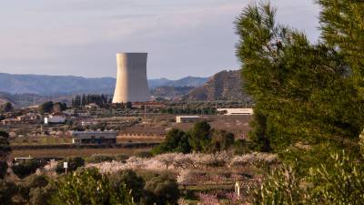 Imagen de la central nuclear de Ascó. Foto: Joan Revillas