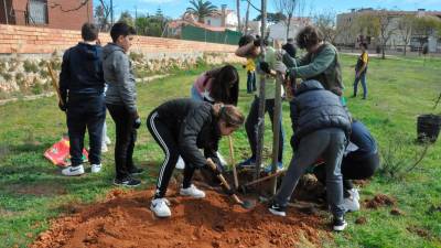 Imatge d’arxiu d’alumnes de l’Institut Ramonde la Torre, de Torredembarra, plantant un arbre a l’any 2020. Foto: Pere Ferré/DT