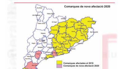 Infografía de la afectación de la plaga en Catalunya. DARP