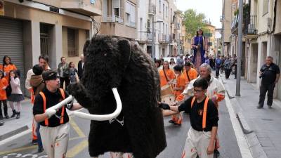 El mamut pelut Sisquet obria la comitiva del seguici fins arribar a la Rambla 15 d\'abril. Foto: Alfredo González