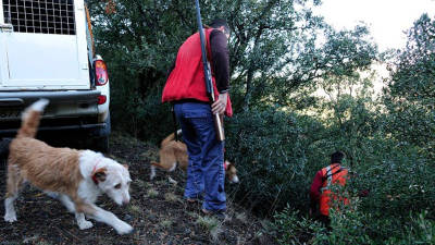Observadors censen poblacions de senglars al barranc del Tillar, a la Conca de Barberà. Foto: ACN