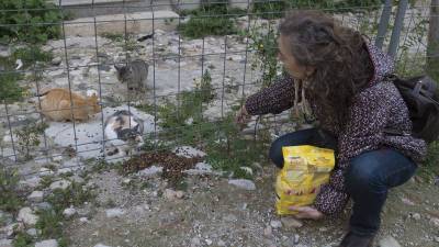 Una voluntària, alimentant ahir una de les colònies de gats del nucli antic. Foto: Joan Revillas