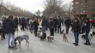 La majoria del concentrats van venir acompanyats dels seus gossos. FOTO: Joan Revillas
