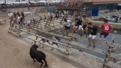 Participantes en una jornada de bous en Les Cases d´Alcanar (Montsià), celebrada durante el año pasado. Foto: Joan Revillas