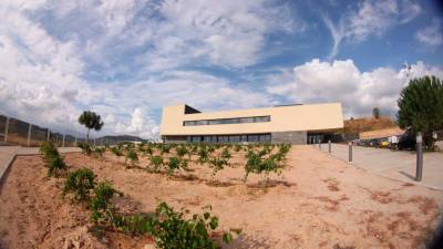 La seu central de VITEC està ubicada a Falset, la capital del Priorat. Foto: Pere Toda