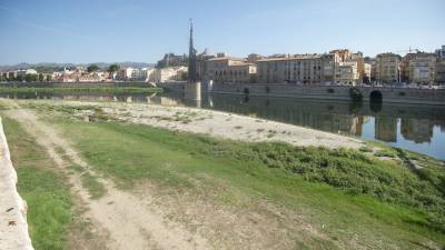Estat actual del riu Ebre a Tortosa, amb un cabal de 90 metres cúbics per segon. Foto: joan revillas