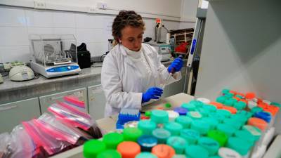 Imagen de archivo de un laboratorio. Foto: EFE