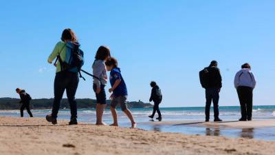 Los participantes en la iniciativa buscando conchas en la orilla de la playa. Foto: Àngel Ullate
