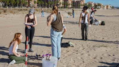 El grupo de estudiantes, ayer trabajando ‘in situ’ en la playa de Torredembarra. FOTO: Àngel Ullate