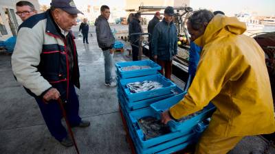 Una barca descarga pescado en el puerto de L’Ametlla de Mar. foto: Joan Revillas