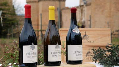 Primer pla dels tres nous vins del celler Abadia de Poblet, basats en varietats autòctones de la Conca de Barberà de vinyes antigues del mateix monestir. Foto: ACN