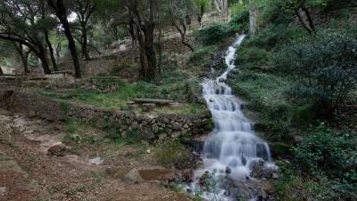 Aigua baixant amb força a les fonts de Sant Roc, al municipi de Paüls, al Parc Natural dels Ports. foto: joan revillas