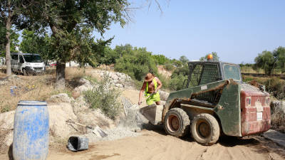 Los trabajos de remodelación del Parc del Roquís siguen el calendario previsto. FOTO: FABIÁN ACIDRES