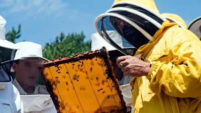 Els apicultors alerten que les compres d’aquest producte no s’han incrementat com s’esperaven. Foto: ACN