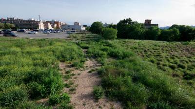 Els terrenys oferts per l’Ajuntament de Tortosa, a Ferreries. Foto: Joan Revillas