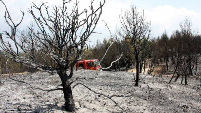 Zona cremada i camió de Bombers a prop de Maians, dilluns al migdia. Foto: ACN