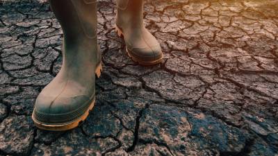 Agricultor con botas caminando sobre suelo seco, el cambio clim&agrave;tico&nbsp;es innegbale. FOTO: CEDIDA