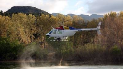 L'helicòpter buida la càrrega d'insecticida biològic BTI al riu Ebre, a l'alçada de l'assut de Xerta. Foto: ACN