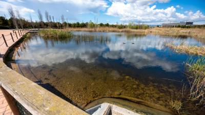 El lago se inauguró en 2018 para los Jocs del Mediterrani. Foto: Marc Bosch