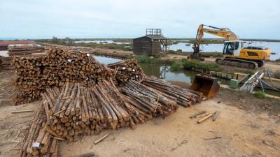 Maquinària treballant amb un total de 6.000 pals de fusta per reforçar la llacuna, a l’illa de Buda. Foto: Joan Revillas