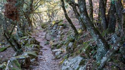 Sendero junto a la Ermita de l’Abellera. FOTO: Santi Garcia