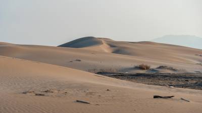 Las dunas de la Punta del Fangar. FOTO: santi garcía