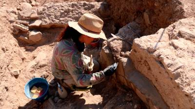 Esta es la cuarta campaña de excavación. Foto: ACN