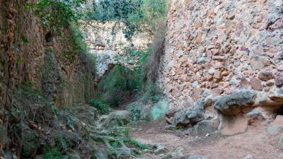 El camino del barranco. Foto: Santi García